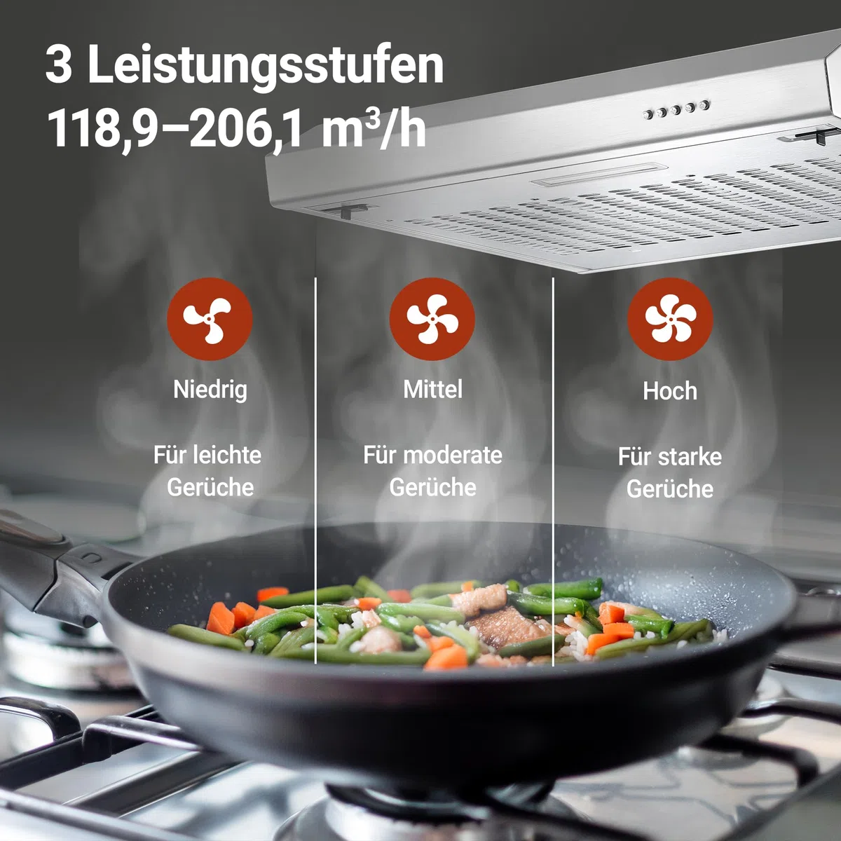Respekta Sina cappa sottopensile inox/cappa aspirante 60 cm/corpo inox di qualità/funzione aspirazione e espulsione aria / CH600IX-19 / classe efficienza energetica A+ / 54–65 dB