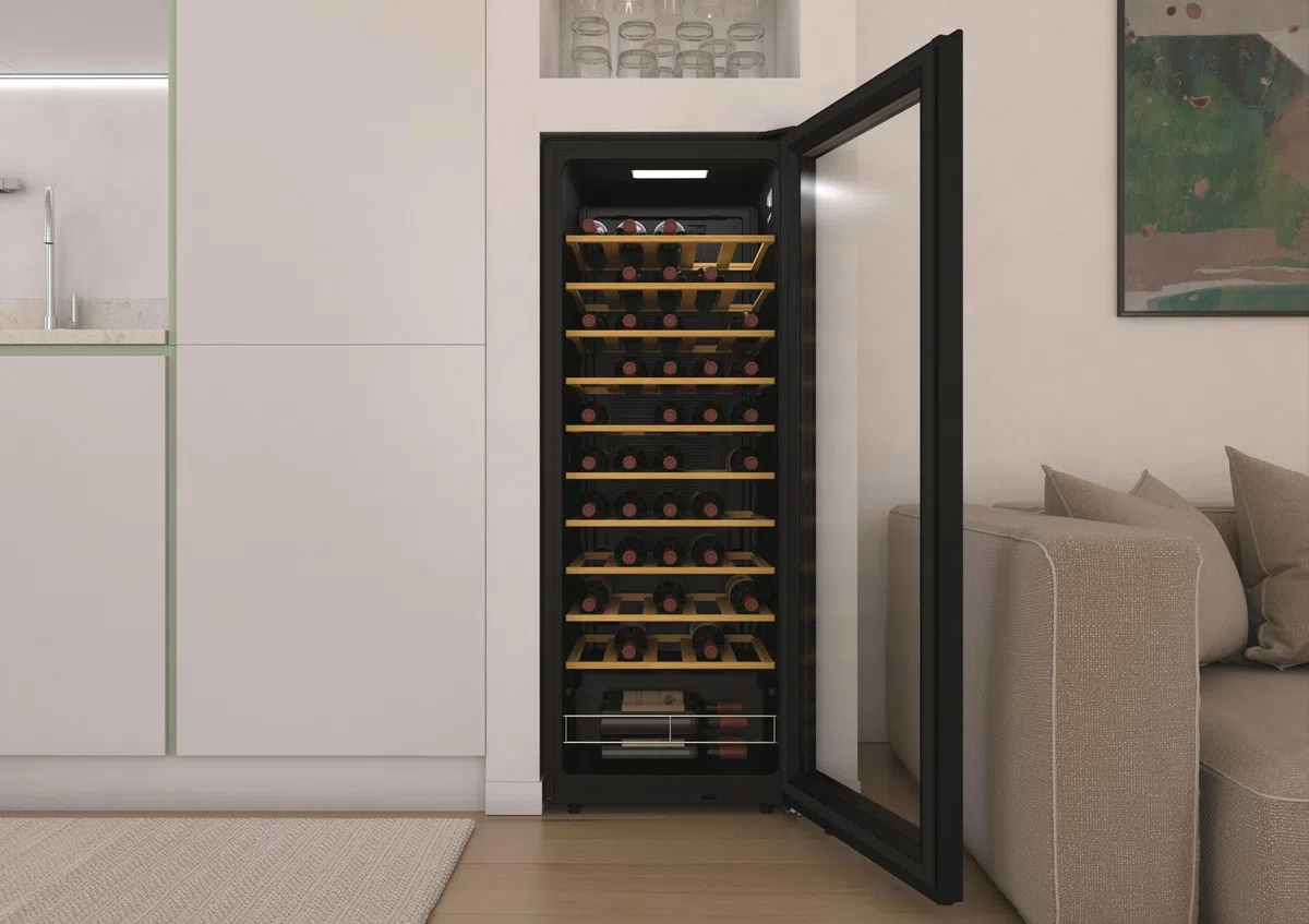Candy DiVino CWC058 Enoteca 58 bottiglie WiFi App hOn porta reversibile compressore anti-vibrazione