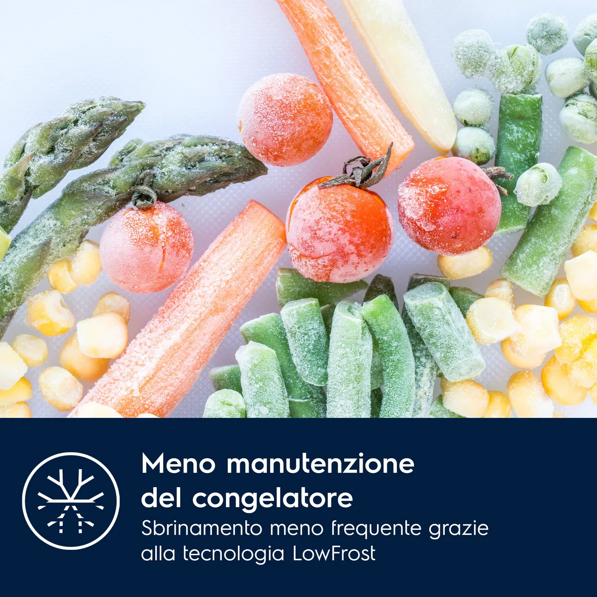 Electrolux ColdSense 500 Frigocongelatore da Incasso ENS5LE18S, 177,2 cm Tecnologia LowFrost, FastFreeze, Controllo Elettronico Interno, Capacità 271 Litri, 1772x546x549 mm, Bianco