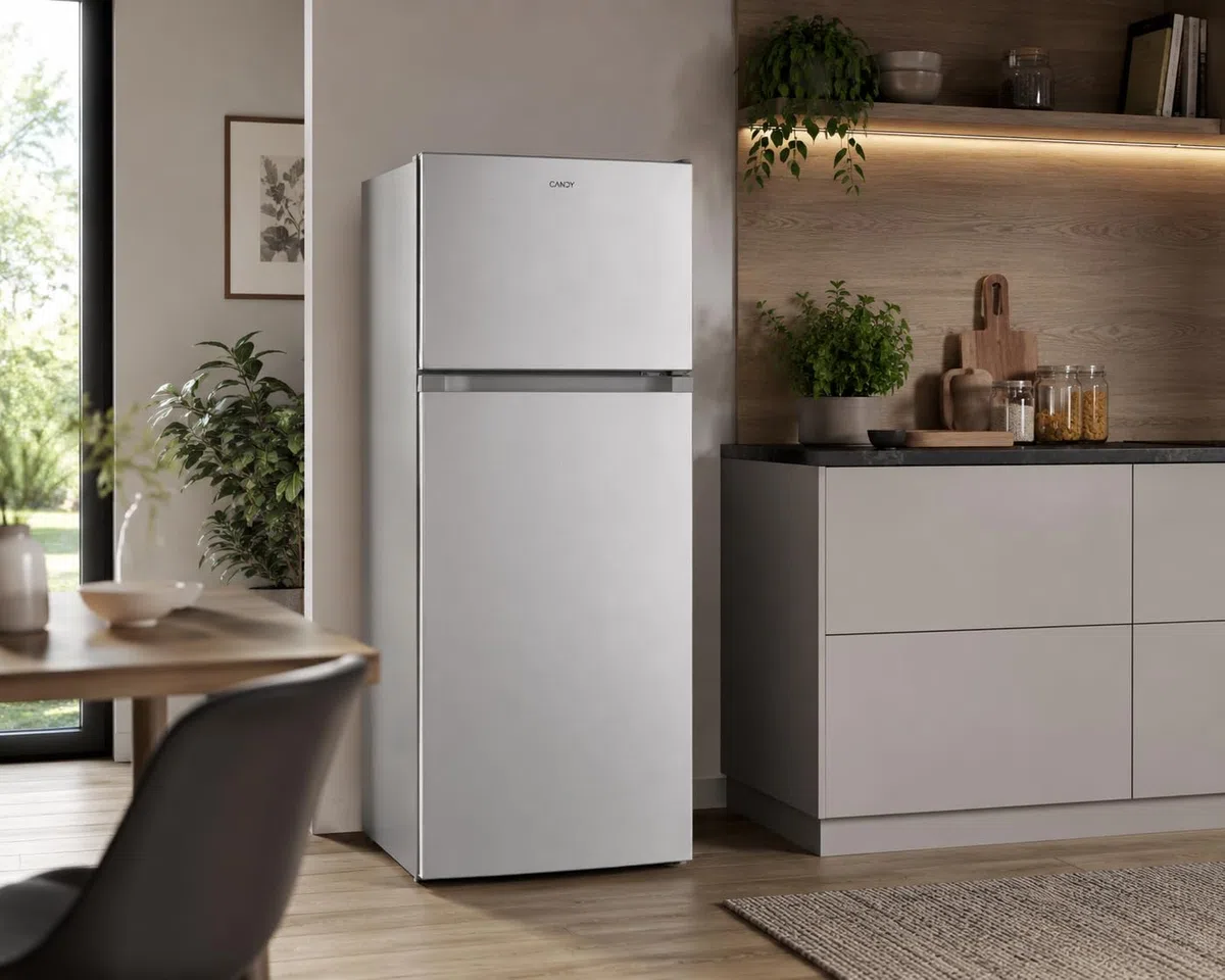 CANDY Frigorifero Doppia Porta a libera installazione, 242 Litri, 41 dB, Silver, Classe E, AxLxP 143x55x55 cm Compatto, Porta Reversibile - CDG1S514ES