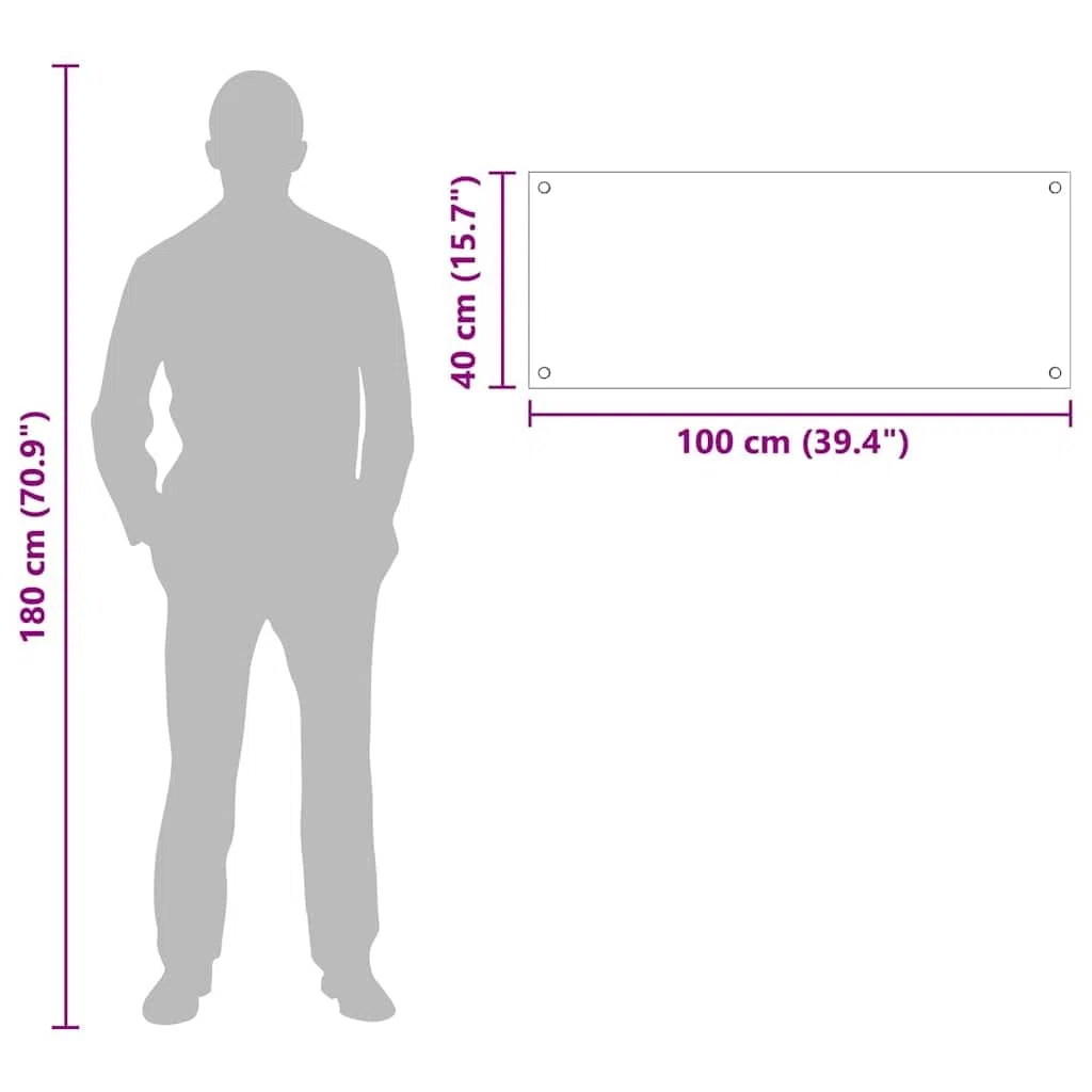vidaXL Schienale da Cucina Trasparente 100 x 40 cm Vetro temperato, Design da Cucina alla Moda: Schienale in Vetro, Parete Resistente al Calore, estetica Moderna per la ristrutturazione
