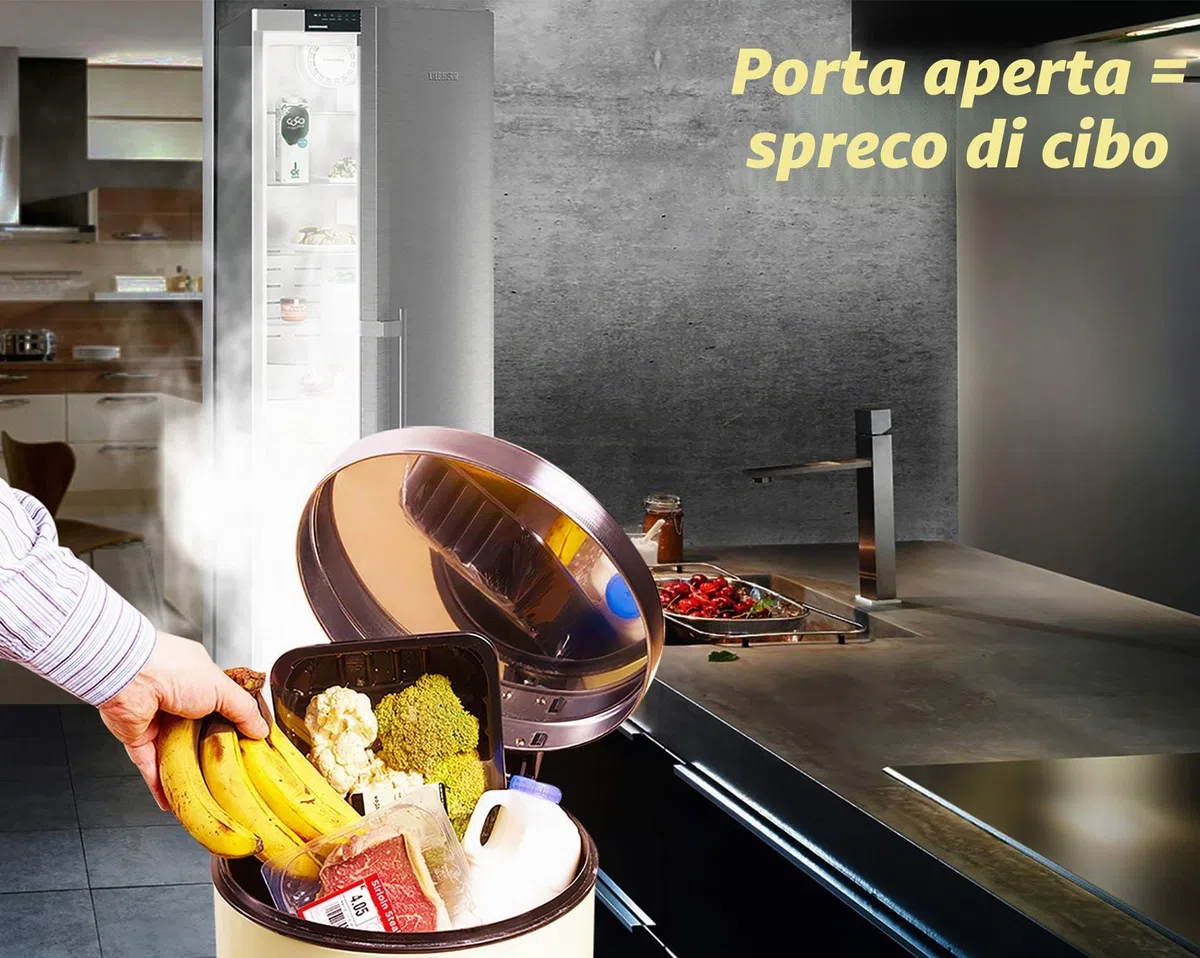 Allarme porta congelatore con ritardo quando lasciato aperto, ritardo di 60 secondi, allarme porta frigorifero ritardato, basso/alto da 80 dB a 110 dB (nero)